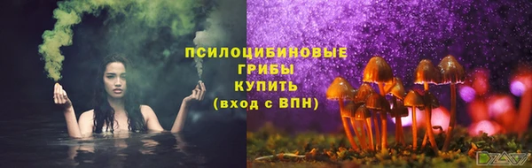 стафф Богородицк