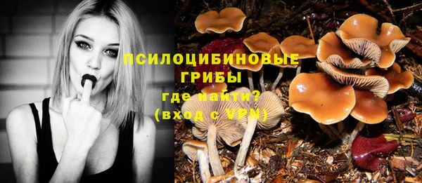 стафф Богородицк