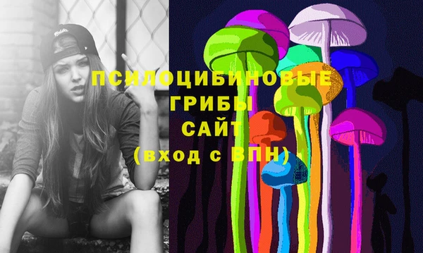 хмурый Богородск