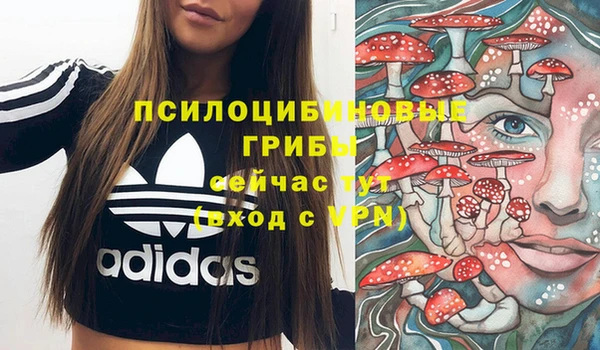 хмурый Богородск