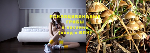каннабис Арсеньев